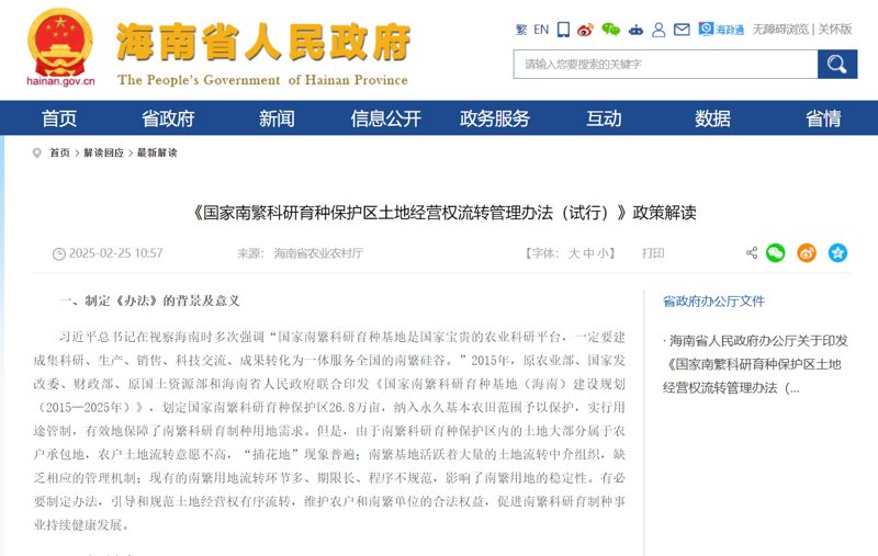 如何为您的海口企业定制专业的网站建设