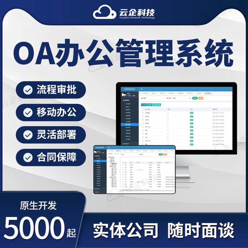 打造定制化系统服务：一次成功的案例分析